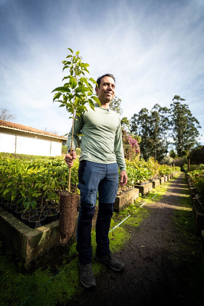 Alex Vicintin, Fundador da Fábrica de Árvores.