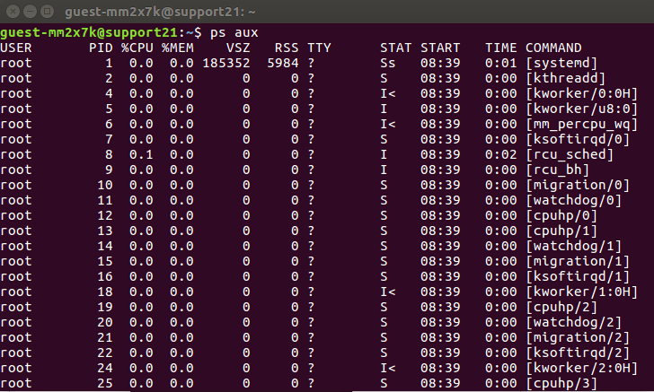 comando ps-aux exibindo processos em execução no linux