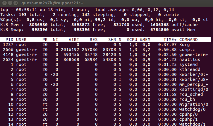 comando top exibindo processos em execução do linux