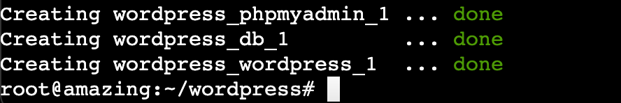terminal exibindo finalização da instalação do wordpress no docker