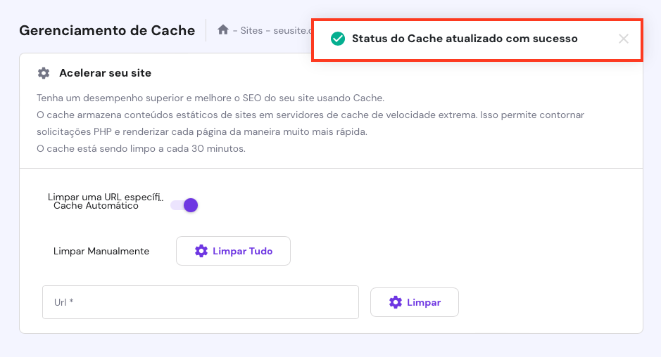 status do cache atualizado no hpanel