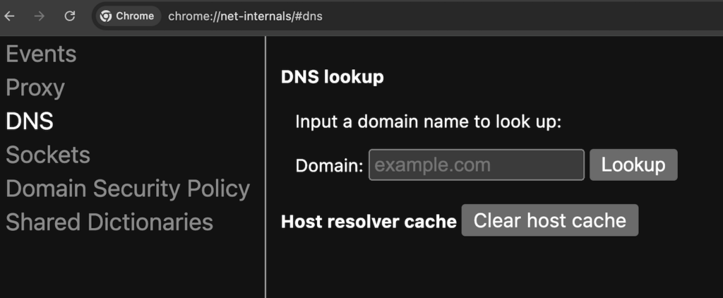 página de gerenciamento de dns do chrome