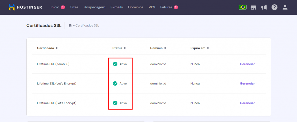 Indicador no hPanel mostrando que o certificado SSL está ativo