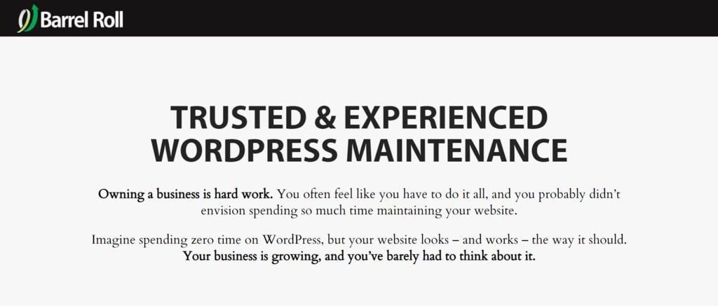 site do serviço de manutenção wordpress Barrel Roll